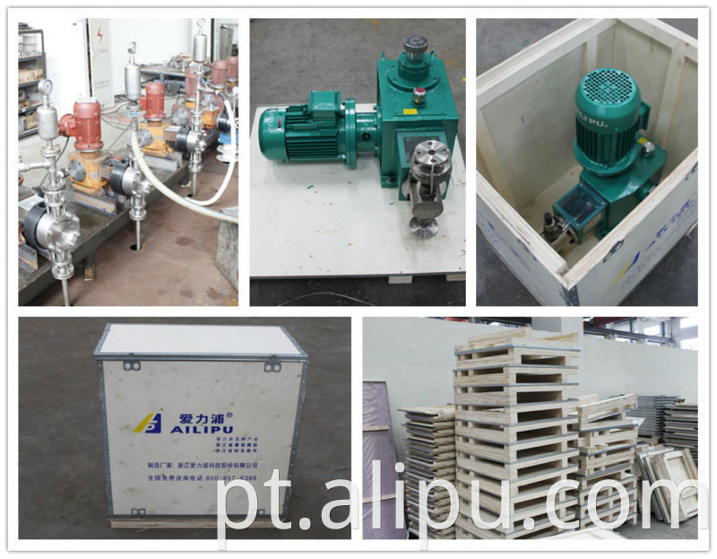 Ailipu Metering Pump